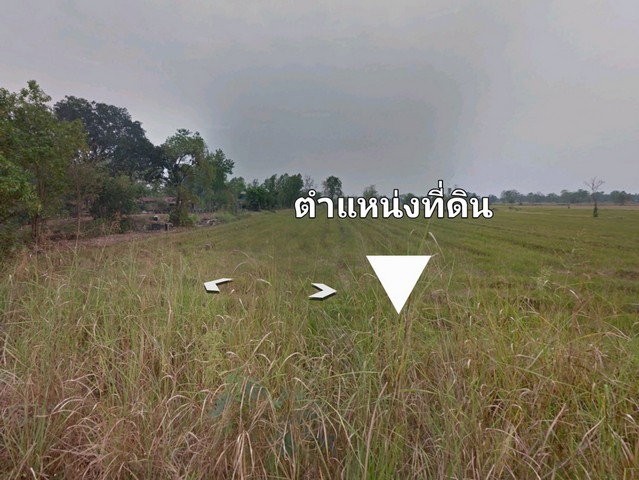 ขายที่ดิน อ. ตะพานหิน/จ. พิจิตร ต.หนองพยอม 40-3-21 ไร่ 