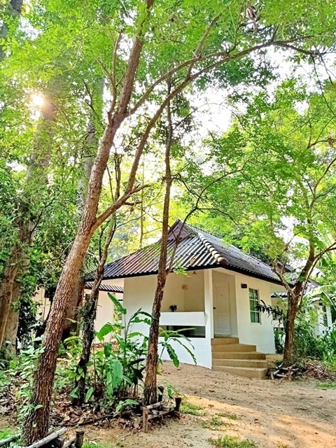  บรรยายธรรมชาติ วิทยาลัยชุมชนยโสธร 15ไร่ ให้เช่าบริหารโรงแรมสไตล์รีสอร์ท 18 ห้อง 1งาน 3,500ตรม. 14นอน 14น้ำ จอดรถได้หลายคัน 14แอร์