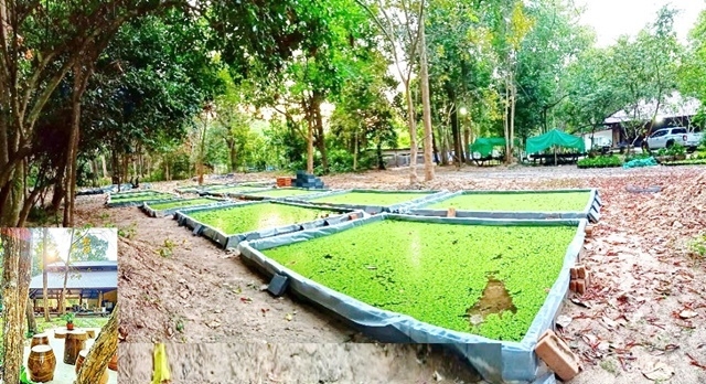 รีสอร์ท ให้เช่าบริหารโรงแรมสไตล์ 18 ห้อง บรรยายธรรมชาติ  วิทยาลัยชุมชนยโสธร 15ไร่ 2งาน 3,800ตรม. 18นอน 18น้ำ จอดรถได้หลายคัน 18แอร์