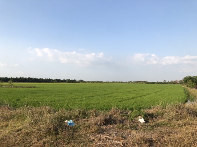 โปรนี้มีส่วนลดนะคะที่นาแบ่งโฉนดขายค่ะลาดหลุมแก้ว ปทุม การเกษตรดินดีวิวสวย บ่อเงินปุทม ใกล้แหล่งน้ำเหมาะทำเกษตร  ใกล้ชุมชน 5ไร่  อำเภอลาดหลุมแก้ว ปทุมธานี ลาดหลุมแก้วไร่ละ 1ลบ. โทร 083-7124115