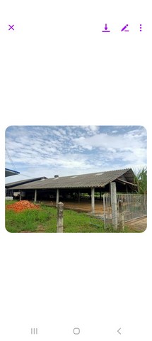 ขายบ้านพร้อมที่ดิน อำเภอพนัสนิคม จังหวัดชลบุรี ขนาด 2 ไร่ 48 ตารางวา