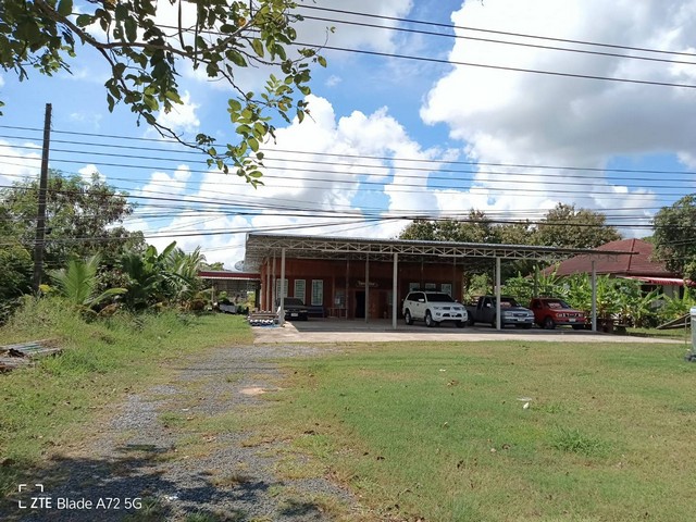 ขายด่วน ที่ดินสวย 7 ไร่ พร้อมสิ่งปลูกสร้าง  ติดถนนหลัก ใกล้แยกถนนเทศบาล 2 .ปราสาท จ.สุรินทร์  ZE571