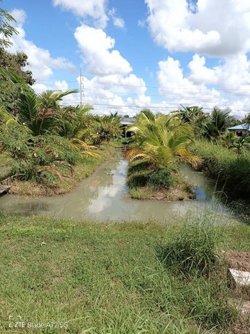 ขายด่วน ที่ดินสวย 7 ไร่ พร้อมสิ่งปลูกสร้าง  ติดถนนหลัก ใกล้แยกถนนเทศบาล 2 .ปราสาท จ.สุรินทร์  ZE571