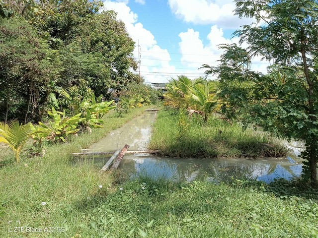 ขายด่วน ที่ดินสวย 7 ไร่ พร้อมสิ่งปลูกสร้าง  ติดถนนหลัก ใกล้แยกถนนเทศบาล 2 .ปราสาท จ.สุรินทร์  ZE571