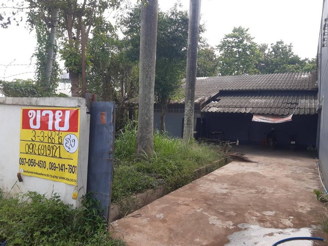 ขายที่ดินพร้อมโกดัง 3-3-83 ไร่  ตรงข้าม ธกส.วังสามหมอ จ.อุดรธานี  ZE553