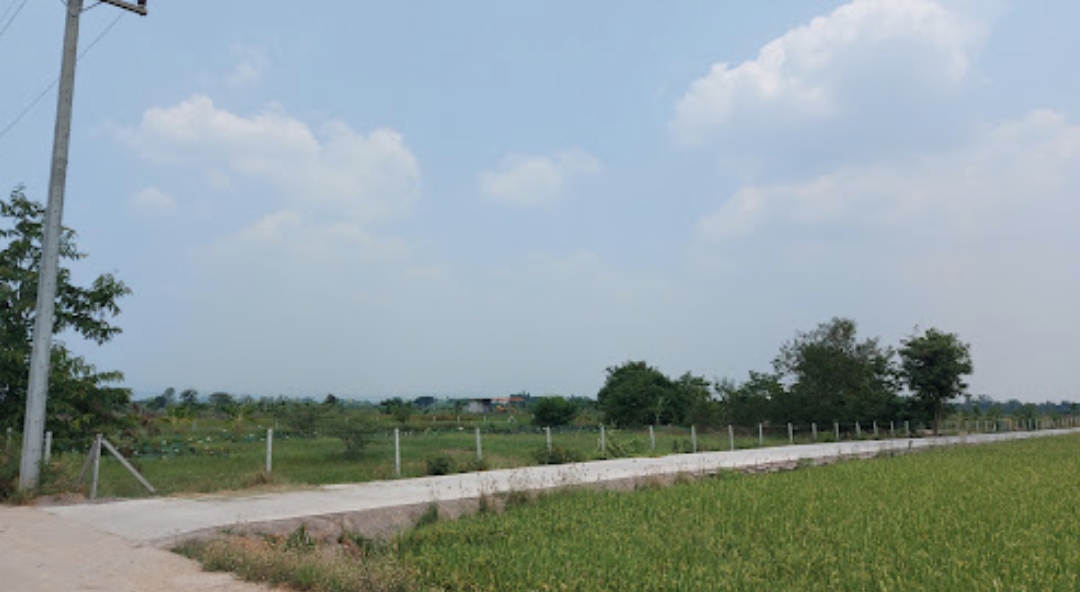 H0018 ขายที่นาเนื้อที่ 3 ไร่ แปลงสวย ตำบลหนองยวง อำเภอเวียงหนองล่อง ลำพูน ใกล้โรงเรียนบ้านเหล่าดูุ่