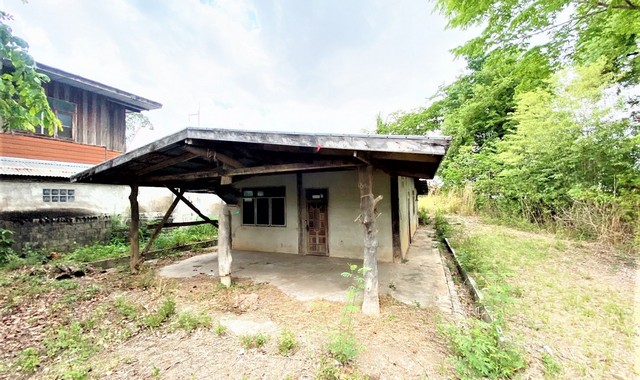 ขายบ้านเดี่ยว   อำเภอศรีบุญเรือง หนองบัวลำภู (PKK02-12666)