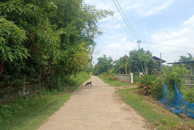 ให้เช่าโกดังพร้อมออฟฟิศ พื้นที่ใช้สอย 500 ตารางเมตร บางขุนเทียน เทียนทะเล ถนนพระราม2 