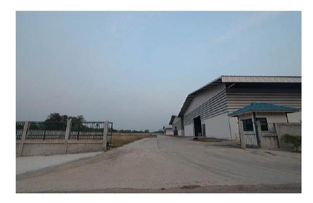 BST542 ขายโรงงานพร้อมกิจการเครื่องดื่มชูกำลัง เนื้อที่ 8 ไร่เศษ ย่านพนัสนิคม ชลบุรี พร้อมดำเนินกิจการทันที