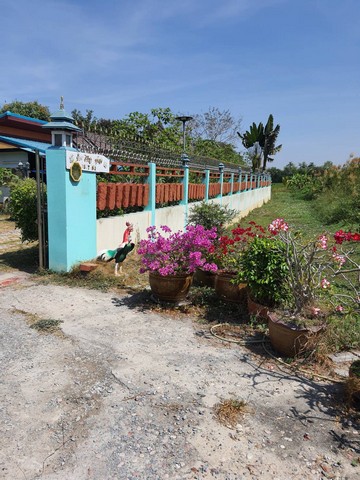 บ้าน ที่ดินพร้อมบ้านสวน ตำบลหน้าไม้ อำเภอลาดหลุมแก้ว 3Bedroom 7000000 บาท   ราคา - ดี