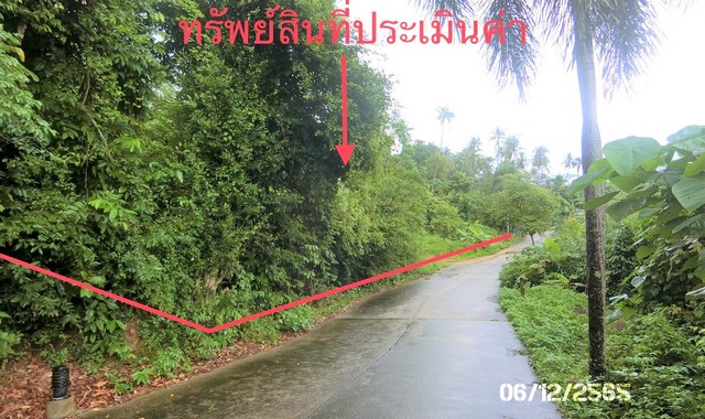 ขายที่ดินว่างเปล่าใกล้ โลตัส โกเฟรช สาขาตลาดศรีฟ้า อำเภอเกาะสมุย จังหวัดสุราษฎร์ธานี PKK01-11511