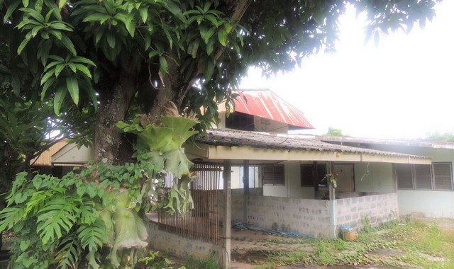 ขายบ้านเดี่ยว  อำเภอเมืองอำนาจเจริญ  อำนาจเจริญ (PKK02-13987)