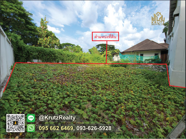 ขายที่ดินพร้อมกิจการผู้เช่า 150 ตรว.คืนกำไรระยะยาว ทำเลดีที่สุด ต.สันกลาง อ.สันกำแพง จ.เชียงใหม่