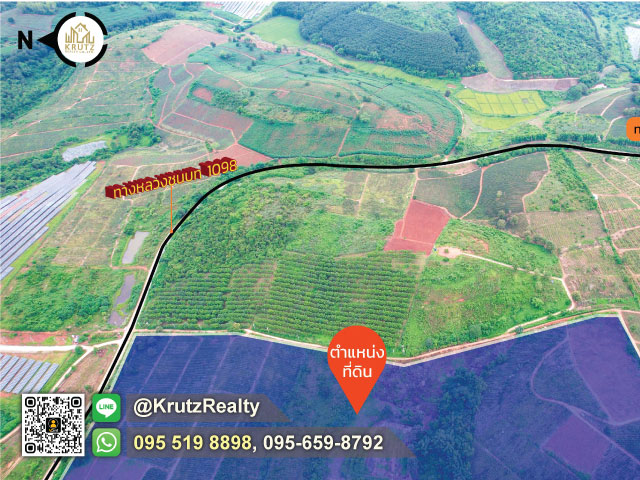 ที่ดินบนเนิน ขายด่วน 163 ไร่ ตำบลท่าข้าวเปลือก อำเภอแม่จัน จังหวัดเชียงราย