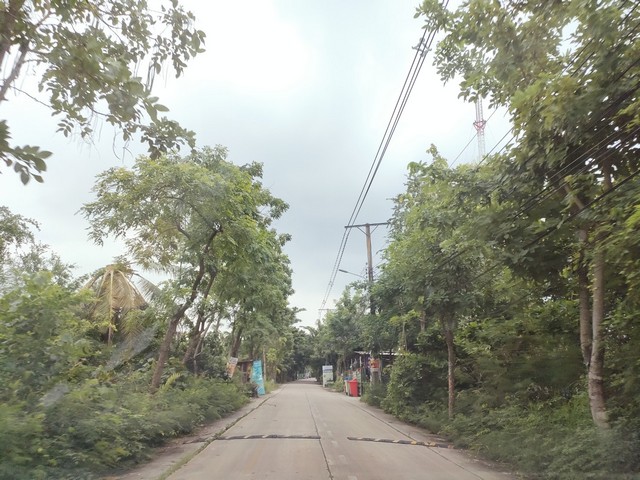 ขายที่ดินแปล่าติดริมแม่น้ำเจ้าพระยา คุ้งน้ำบางกระเจ้า ซอยเพชรหึงษ์ 20