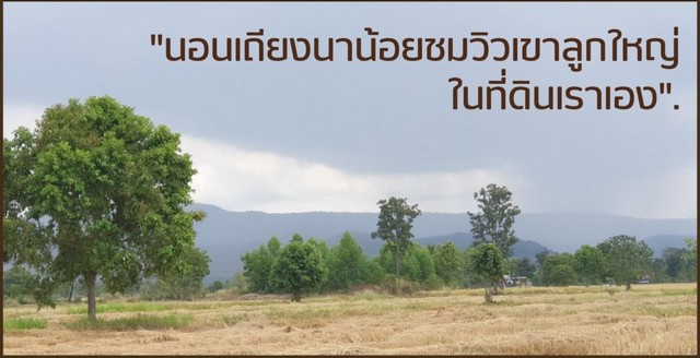 ขายที่ดินแบ่งแปลงละ 1ไร่ 195,000บาท ฟรีโอน ถนนหิน ต.นิยมชัย อ.สระโบสถ์ จ.ลพบุรี