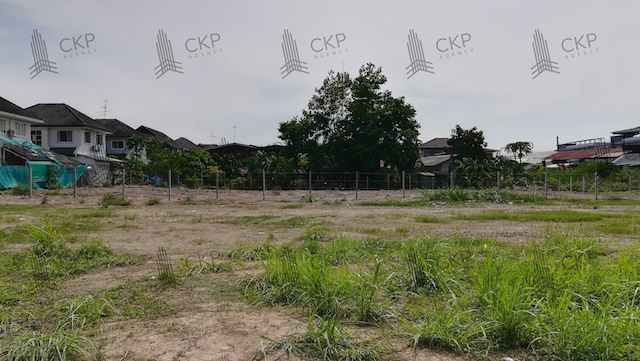 ขาย ที่ดินเปล่าพร้อมบ้านเล็ก 1 หลัง ทำเลดี ใกล้ถนนใหญ่หลายเส้น ใกล้หน่วยงานราชการ ใกล้ห้างสรรพสินค้า ต.ลำโพ อ.บางบัวทอง นนทบุรี