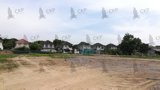 ขาย ที่ดินเปล่าพร้อมบ้านเล็ก 1 หลัง ทำเลดี ใกล้ถนนใหญ่หลายเส้น ใกล้หน่วยงานราชการ ใกล้ห้างสรรพสินค้า ต.ลำโพ อ.บางบัวทอง นนทบุรี