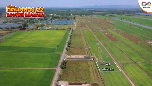 ขาย ที่ดิน คลอง22 ด้านใน 8 แปลง อำเภอองครักษ์ จังหวัดนครนายก