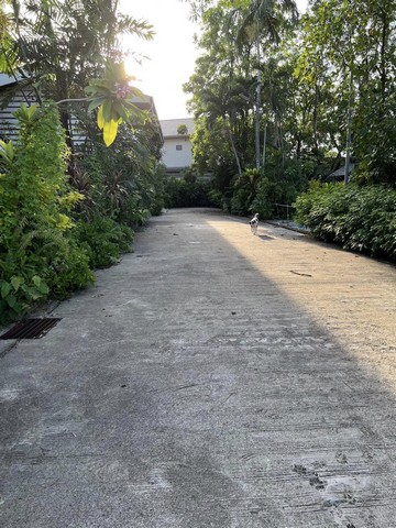 ขายที่ดินพร้อมโกดังและบ้าน 401 ตร.ว. ซอยแบริ่ง 66 ถนนสุขุมวิท 107 ซอยศรีด่าน9 สมุทรปราการ   