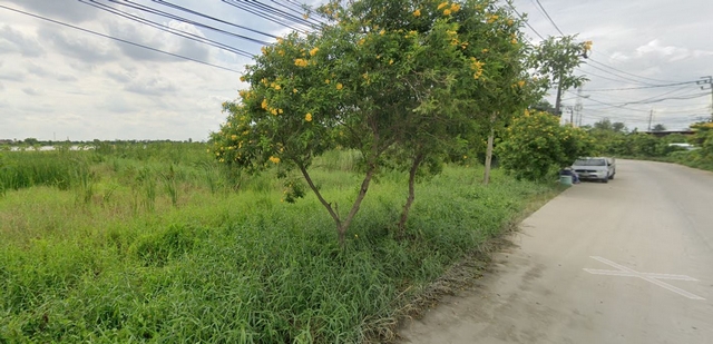 ขายที่ดินสวย ทำเลดี ซอยสุวินทวงศ์ 36 ขนาด 218 ตรว. หน้ากว้าง 16 เมตร เข้าซอยเพียง 250 เมตร  