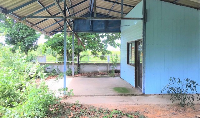 ขายบ้านเดี่ยว    อำเภอเมืองยโสธร ยโสธร (PKK02-13570)