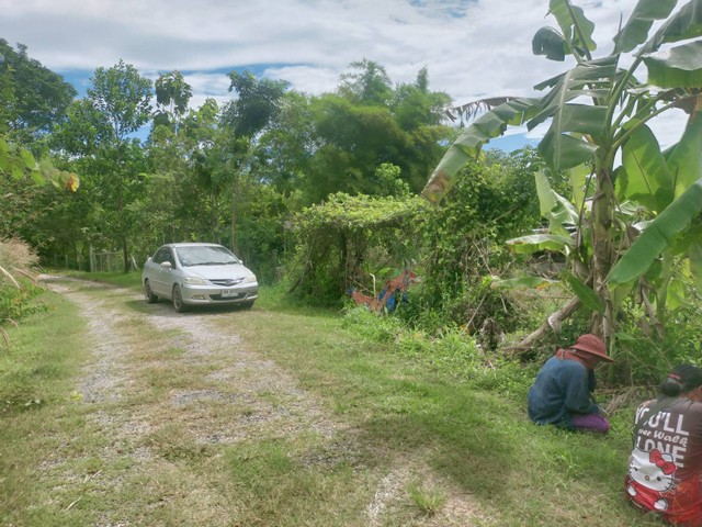 Vายสวนทุเรียน ในออร์ชาร์ดปาร์ครีสอร์ท 1 ไร่กว่าๆ เพียง 1.75 ล้านเท่านั้น
