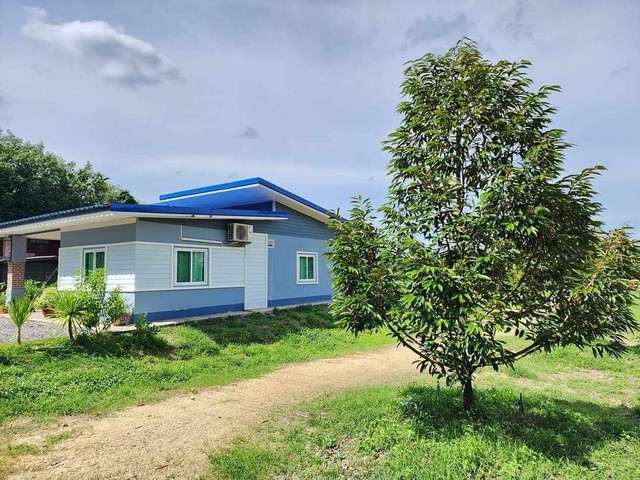 ขายลดราคาบ้านใหม่พร้อมสวนทุเรียนสวยๆ ใกล้ถนนสุขุมวิท เขตห้วยยาง อ.แกลง จ.ระยอง