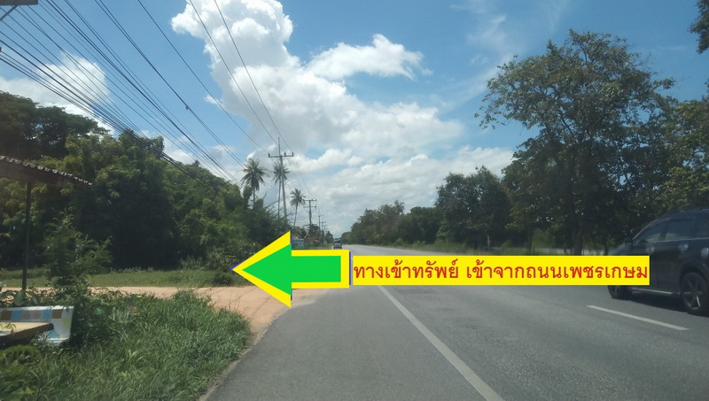 ขายที่ดินเปล่า 1 งาน 96 ตรว.โฉนด 2 แปลง ทำเลดี ตำแหน่งสวย ติดทางสาธารณะประโยชน์ ห่างถนนหลักเพชรเกษม 450 เมตร หน้ากว้าง 44 เมตร ลึก 20 เมตร