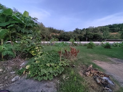 ที่ดินวิวภูเขา เหมาะปลูกบ้าน !!! ขาย ที่ดิน 92 ตรวา ซอยหมู่บ้านแหลมฉบังกรีนวิว 2 ถนนเก้ากิโล ศรีราชา ชลบุรี