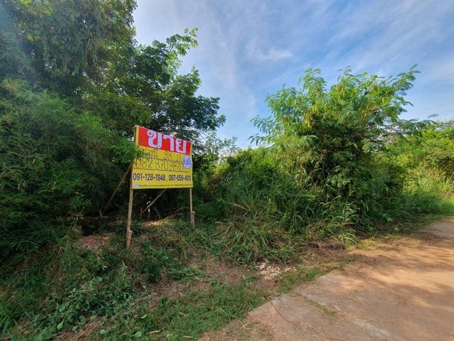 ขายด่วน ที่ดินสวยแปลงมุม ถมแล้ว 98 ตร.ว.  โนนม่วง ใกล้ ม.ขอนแก่น   ZT246 