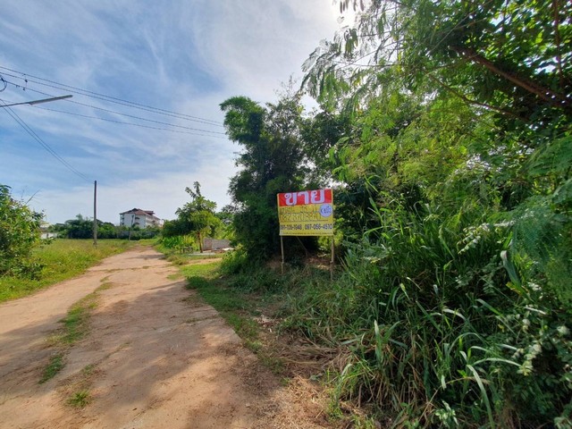 ขายด่วน ที่ดินสวยแปลงมุม ถมแล้ว 98 ตร.ว.  โนนม่วง ใกล้ ม.ขอนแก่น   ZT246 