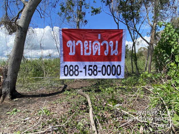 ขายที่ดิน 13 ไร่ ที่ดินสวยทำเลดี ติดถนนเพชรเกษม ชะอำ จ.เพชรบุรี 