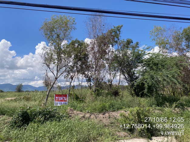 ขายที่ดิน 13 ไร่ ที่ดินสวยทำเลดี ติดถนนเพชรเกษม ชะอำ จ.เพชรบุรี 