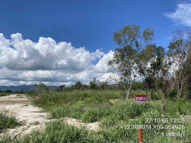ขายที่ดิน 13 ไร่ ที่ดินสวยทำเลดี ติดถนนเพชรเกษม ชะอำ จ.เพชรบุรี 