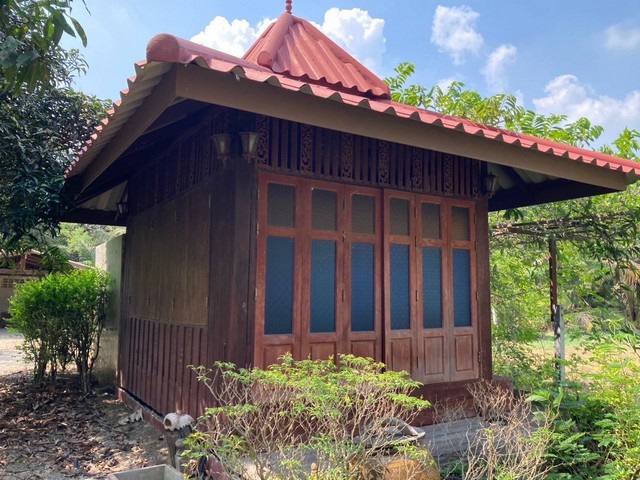 ขายที่ดินสวยสวนมะพร้าว พร้อมบ้านสวน 4-1-48 ไร่ ใกล้ตลาดน้ำดำเนิน จ.ราชบุรี   ZW306
