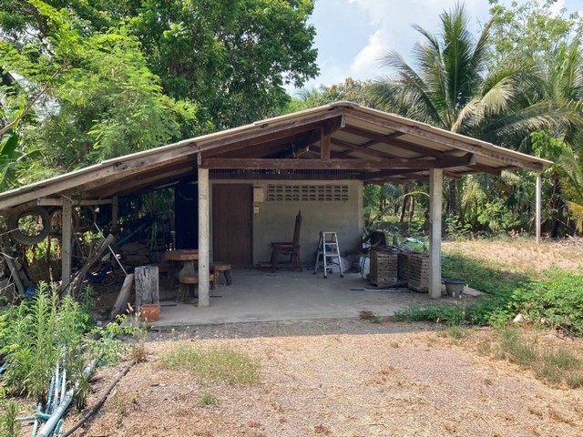 ขายที่ดินสวยสวนมะพร้าว พร้อมบ้านสวน 4-1-48 ไร่ ใกล้ตลาดน้ำดำเนิน จ.ราชบุรี   ZW306