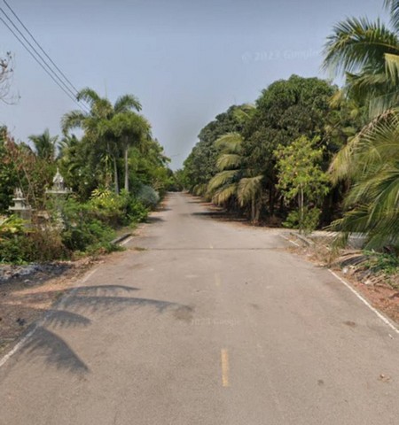 ขายที่ดินสวยสวนมะพร้าว พร้อมบ้านสวน 4-1-48 ไร่ ใกล้ตลาดน้ำดำเนิน จ.ราชบุรี   ZW306