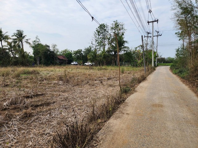 ขายที่ดินจัดสรรเริ่ม 140.5ตรว.674,400บ พร้อมสาธารณูปโภค ต.บวกค้าง อ.สันกำแพง เชียงใหม่