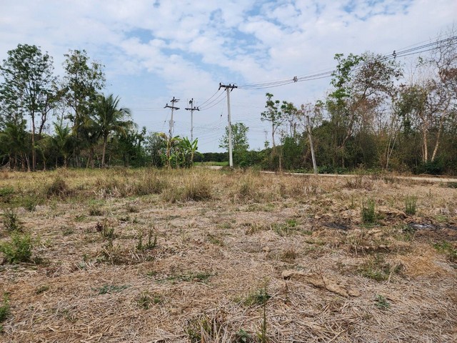 ขายที่ดินจัดสรรเริ่ม 140.5ตรว.674,400บ พร้อมสาธารณูปโภค ต.บวกค้าง อ.สันกำแพง เชียงใหม่