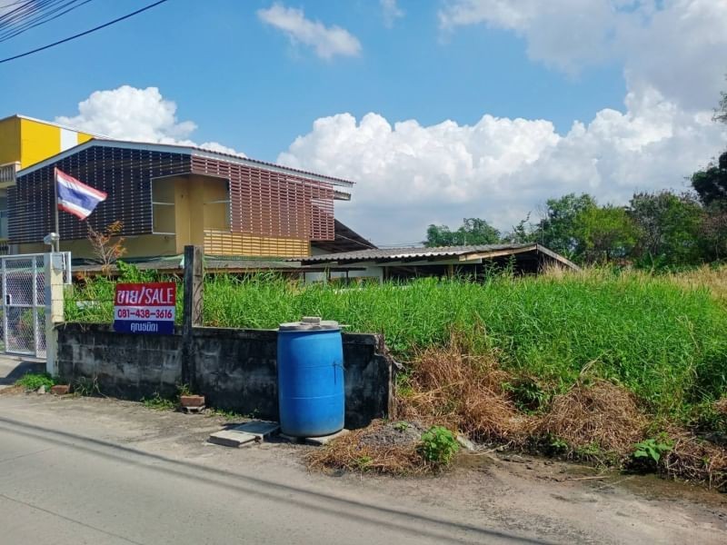 ขายที่ดินราคาถูก 205 ตร.ว ติดถ.สาธารณะ 2ฝั่ง ห่างจาก ถ.ไร่กล้วย_อัสสัมชัญ ศรีรราชา เพียง 300ม.