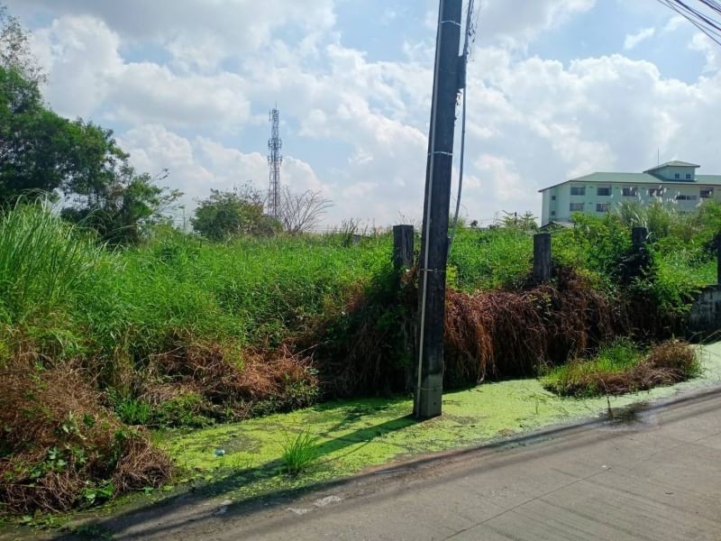 ขายที่ดินราคาถูก 205 ตร.ว ติดถ.สาธารณะ 2ฝั่ง ห่างจาก ถ.ไร่กล้วย_อัสสัมชัญ ศรีรราชา เพียง 300ม.