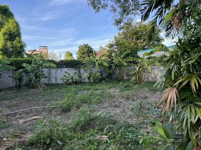 PB3506 ขายโกดังและบ้าน ขนาด 401 ตร.ว. ซอยแบริ่ง 66 ถนนสุขุมวิท 107 ที่ดินหน้ากว้าง 35 ลึก 44 เมตร เแปลงสี่เหลี่ยมสวย