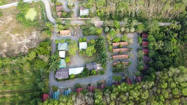 ขายธุรกิจรีสอร์ททำเลที่ล้อมรอบด้วยสวนป่า เนื้อที่5-0-33 ไร่ มีห้องพัก 20 หลัง  ถ.สุราษฎร์-นครศรีฯ  อ.กาญจนดิษฐ์ สุราษฎร์ธานี   ZST174