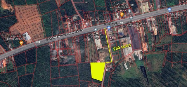 ขายธุรกิจรีสอร์ททำเลที่ล้อมรอบด้วยสวนป่า เนื้อที่5-0-33 ไร่ มีห้องพัก 20 หลัง  ถ.สุราษฎร์-นครศรีฯ  อ.กาญจนดิษฐ์ สุราษฎร์ธานี   ZST174