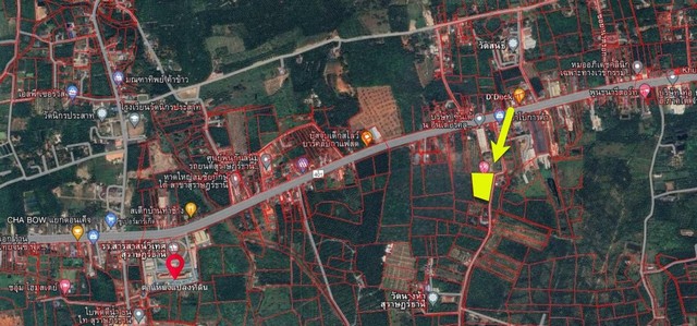 ขายธุรกิจรีสอร์ททำเลที่ล้อมรอบด้วยสวนป่า เนื้อที่5-0-33 ไร่ มีห้องพัก 20 หลัง  ถ.สุราษฎร์-นครศรีฯ  อ.กาญจนดิษฐ์ สุราษฎร์ธานี   ZST174