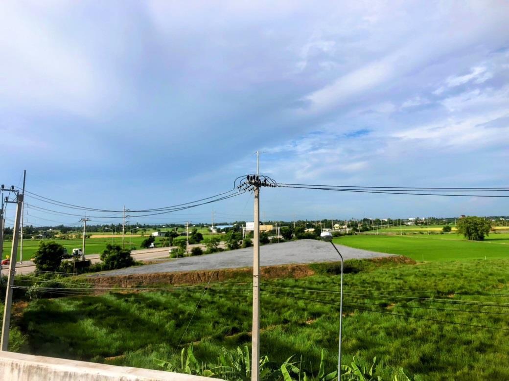 ให้เช่าที่ดินถมแล้ววิวท้องนา 4 ไร่ ติดถนนเส้นหลักสายสุพรรณบุรี–วิเศษไชยชาญ
