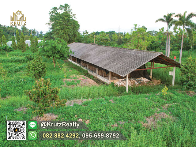 ขายที่ดินติดถนนสี่เลน ขายด่วน 44 ไร่ ตำบลหัวทะเล อำเภอเมืองนครราชสีมา จังหวัดนครราชสีมา