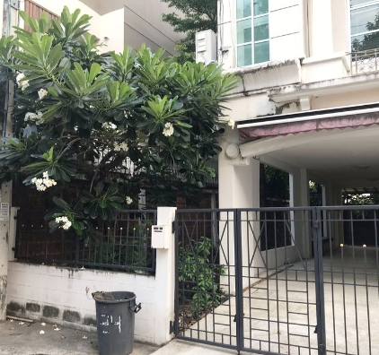  ให้เช่าทาวน์โฮม 4 ชั้น บ้านกลางเมือง พระรามเก้า-ลาดพร้าว ห้องมุม เนื้อที่ 50 ตรว มีสวนด้านข้าง ใกล้เลียบด่วนเอกมัย รามอินทรา 