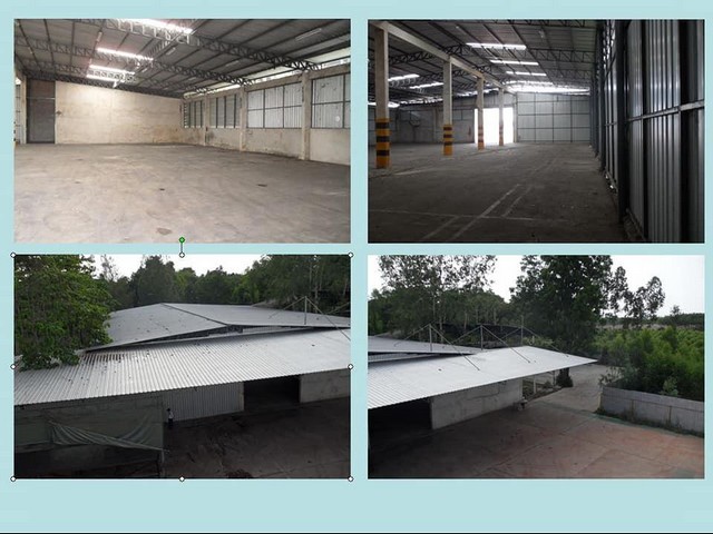 C1986 ขายโรงงานเนื้อที่ 20​ ไร่​ พื้นที่สีม่วง แปลงยาว​ ฉะเชิงเทรา ใกล้นิคมเกตเวย์